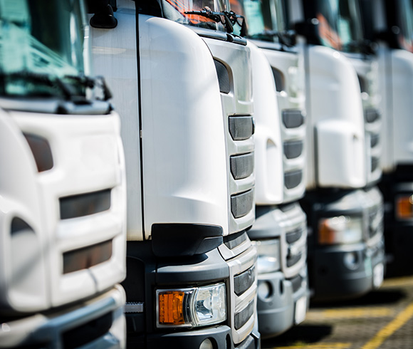 row of white trucks showcasing front grills with clean designs and visible headlights highlighting features of 19 trucks in a fleet arrangement